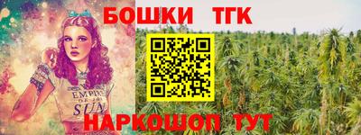 прущие крисы Гай