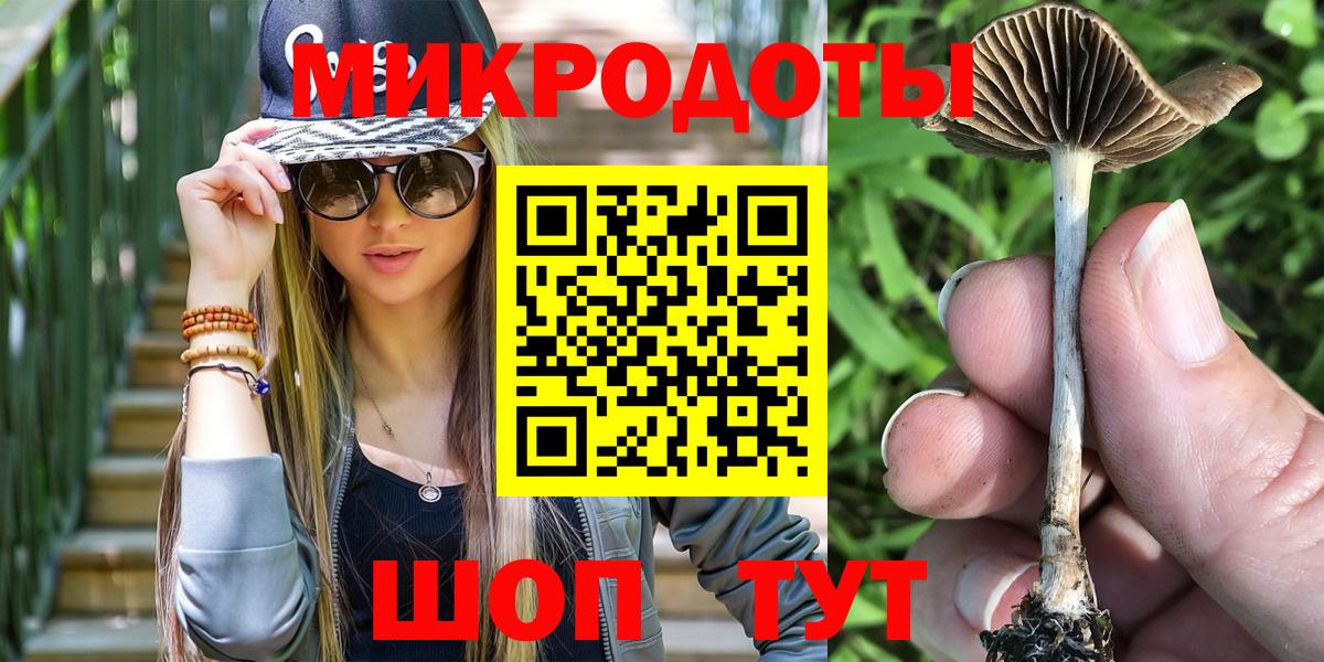 Псилоцибиновые грибы Psilocybine cubensis Лангепас