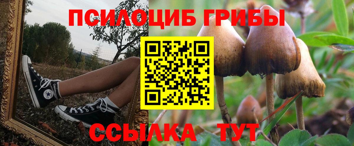 Псилоцибиновые грибы MAGIC MUSHROOMS  Вход с VPN  Галлюциногенные грибы Psilocybine cubensis  Лангепас 